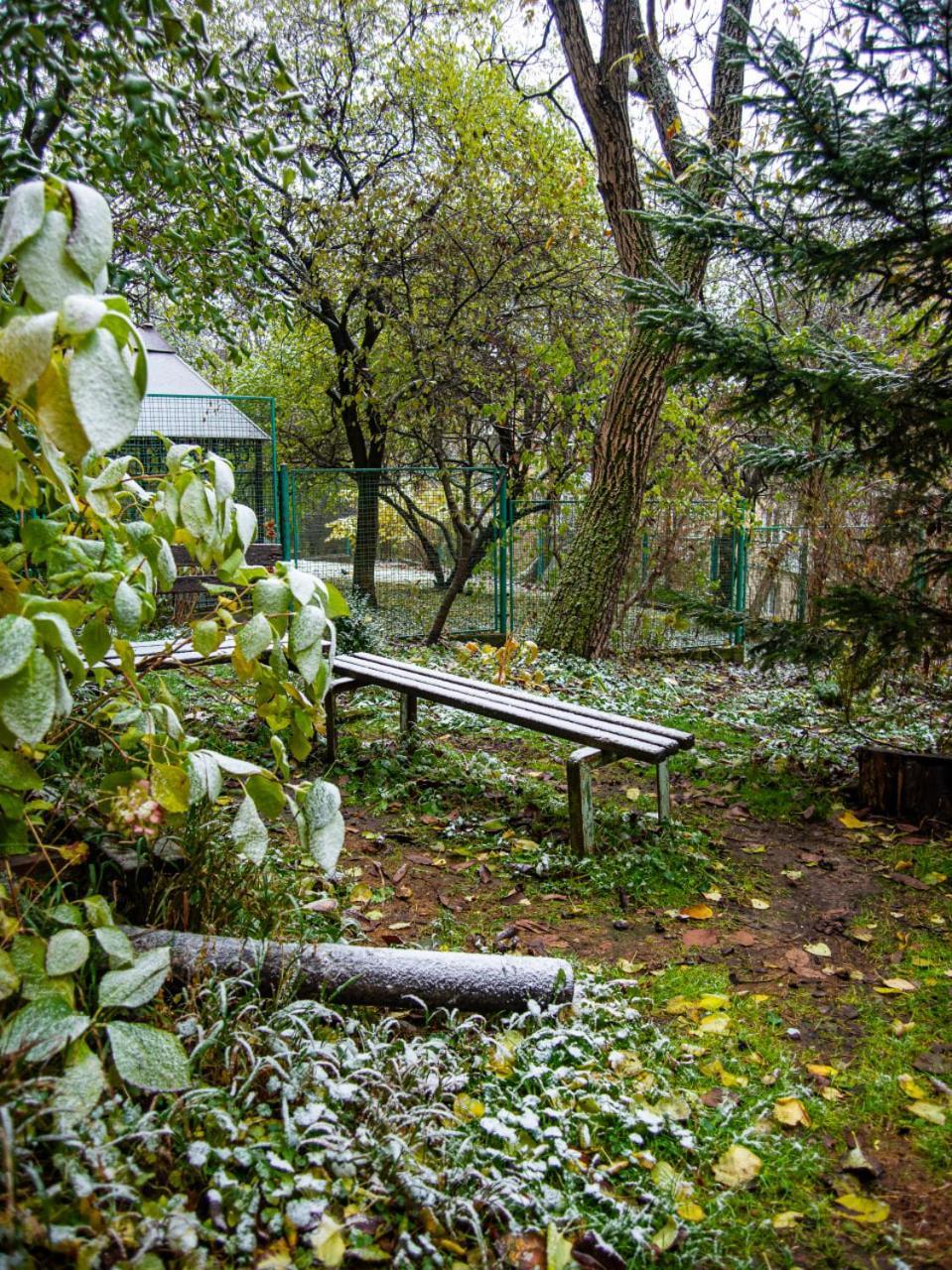 котляревського з садом Apartment *